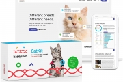 בדיקת DNA לחתול